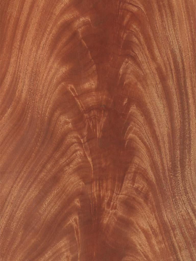 African Mahogany Crotch Veneer