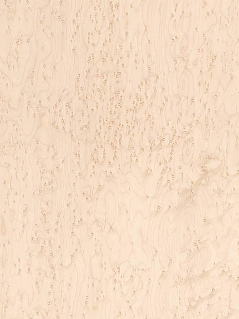 MAPLE WOOD VENEER Dooge Veneers   Maple Birdseye 