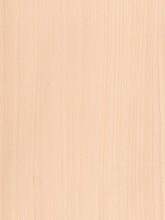Quartered Plain Beech Wood Veneer