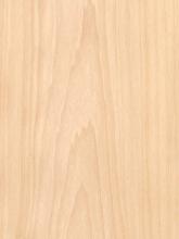 Flat Cut Anegre Plain Wood Veneer