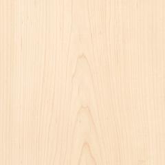 Maple Flat Cut Plain Veneer