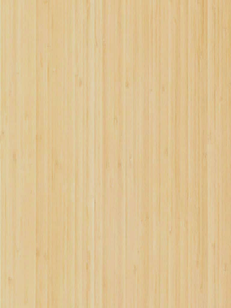 Bamboo LC NS