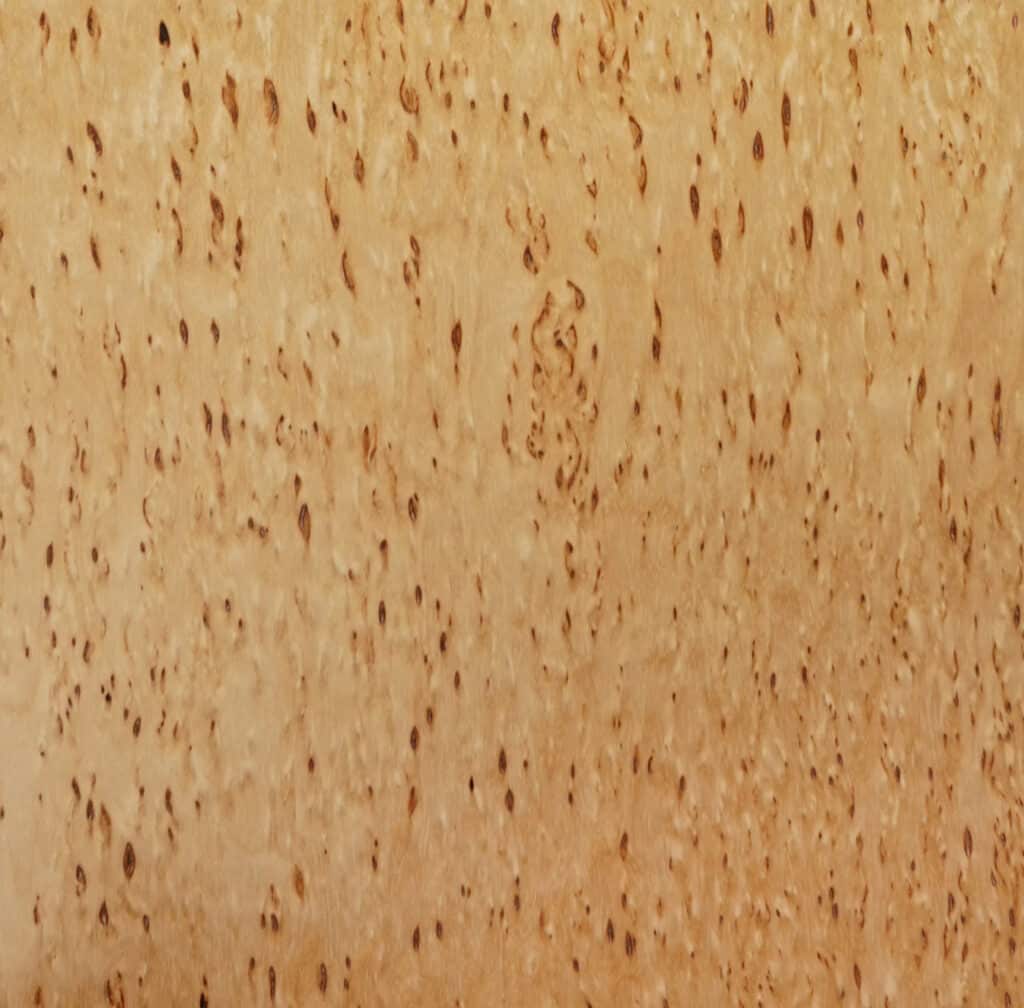 Birch Korelian Burl