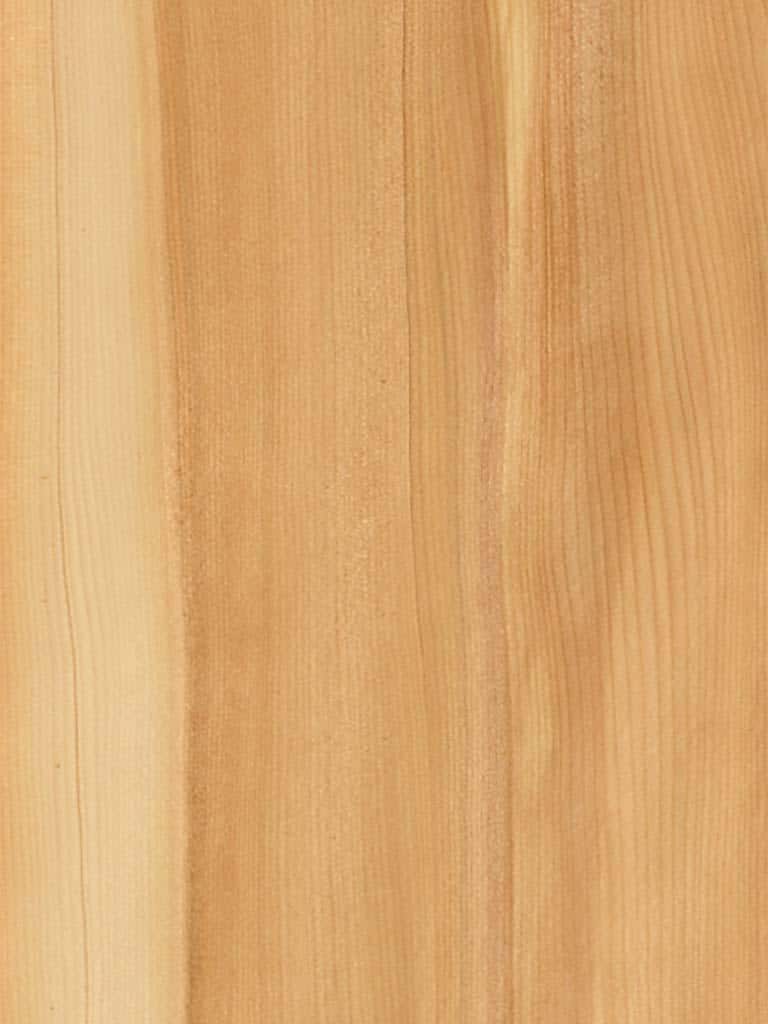 Cedar Lebanon Qtd