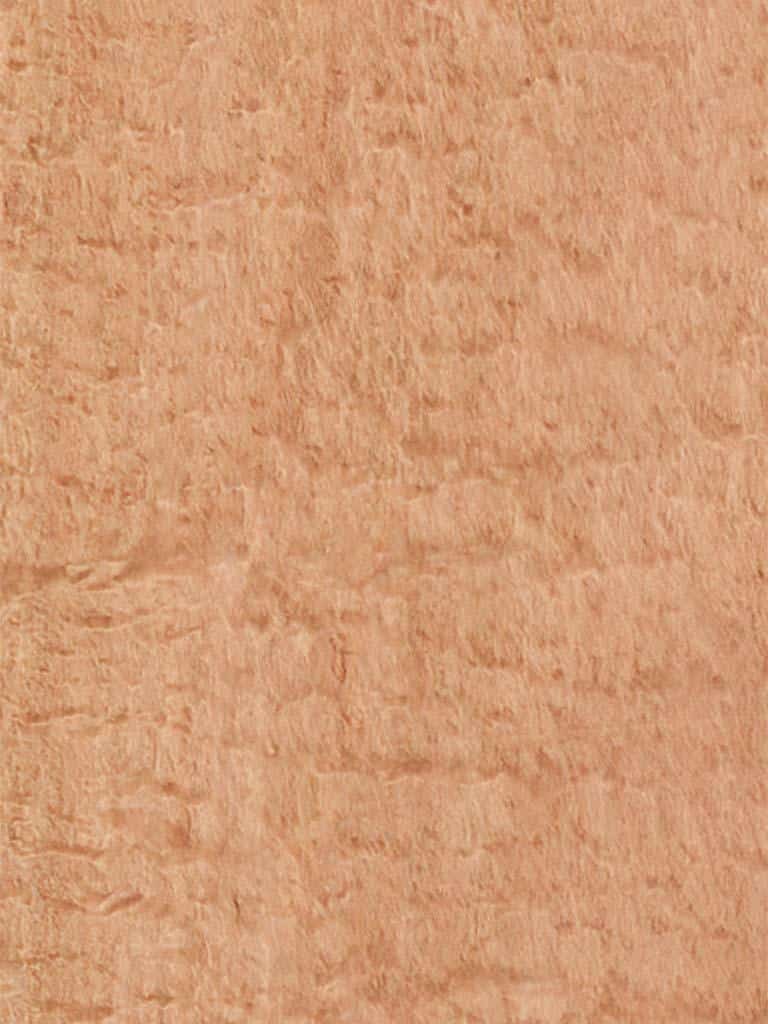Eucalyptus Pommele