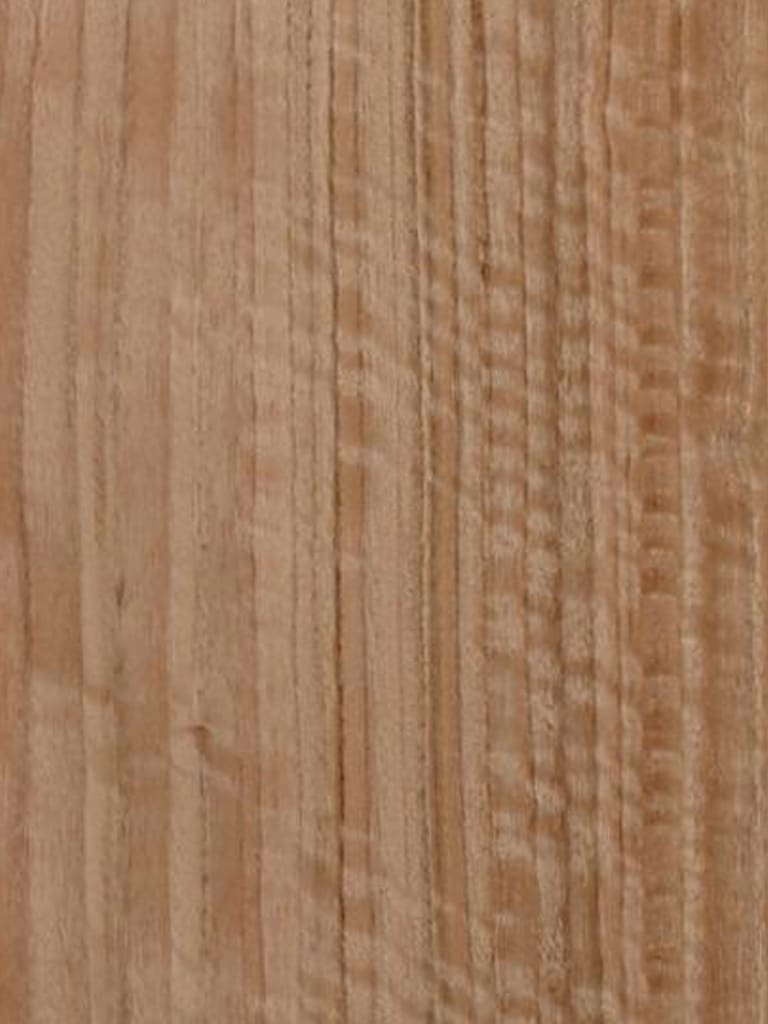 Eucalyptus Qtd Fig