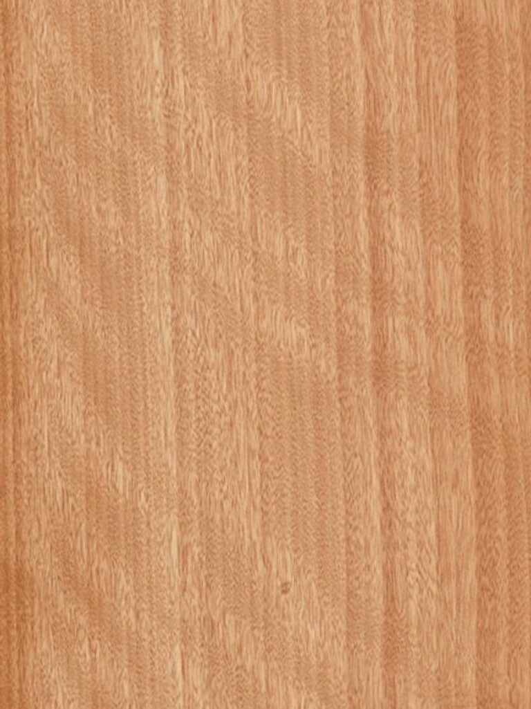 Gaboon Qtd Fig