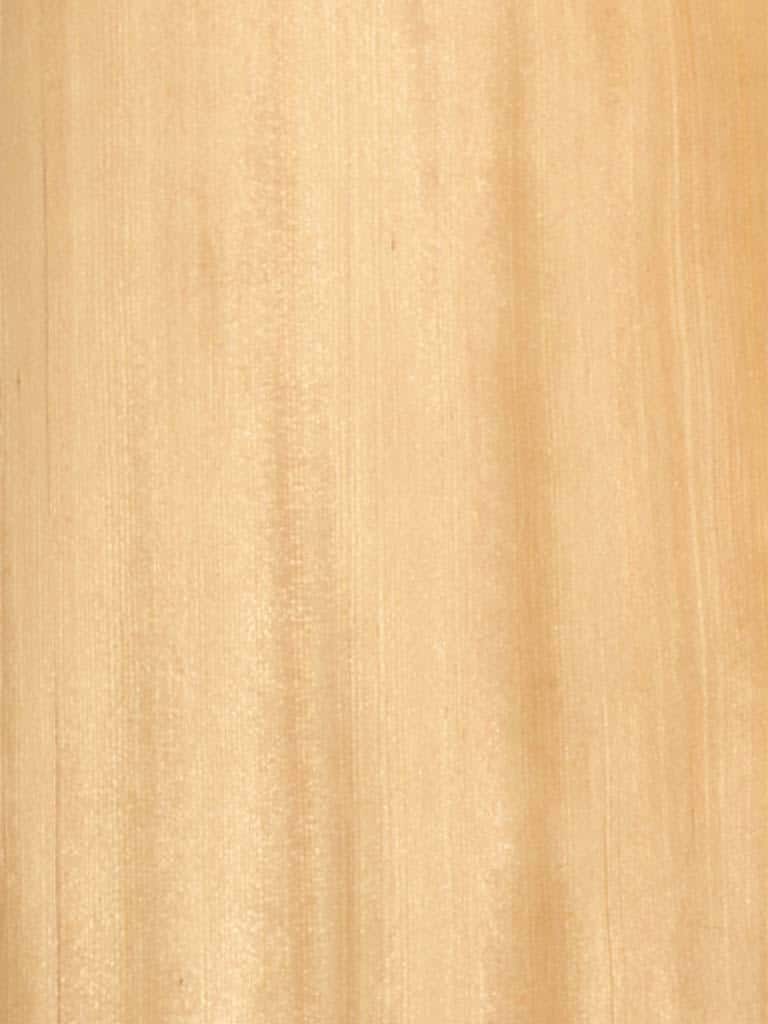 Hemlock Qtd
