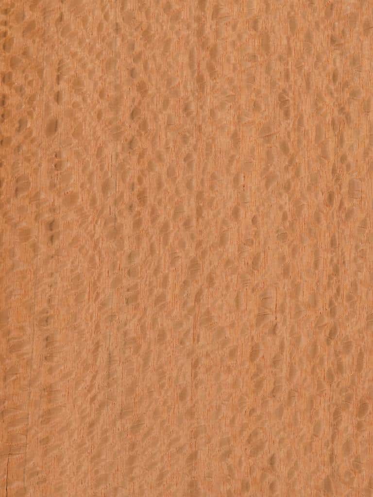 Lacewood Qtd
