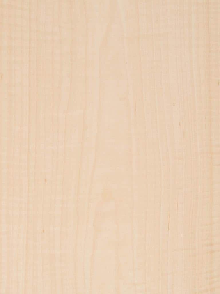 Maple FC Fig