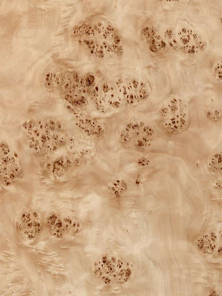 Mappa Burl