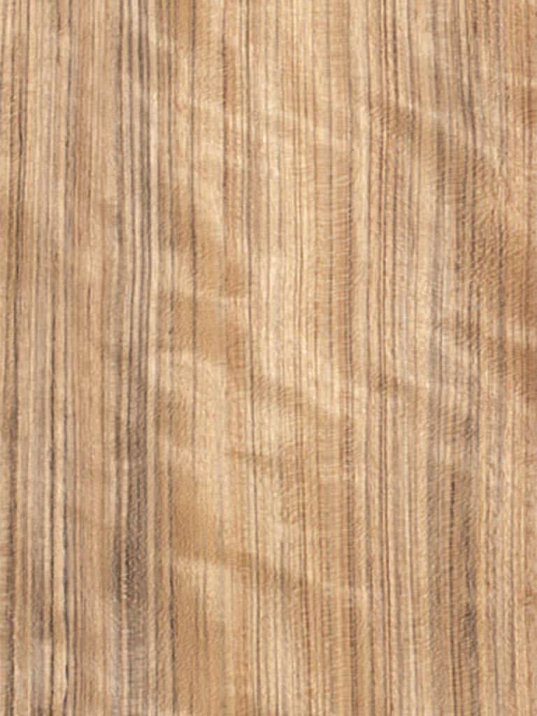 Mozambique Qtd Fig