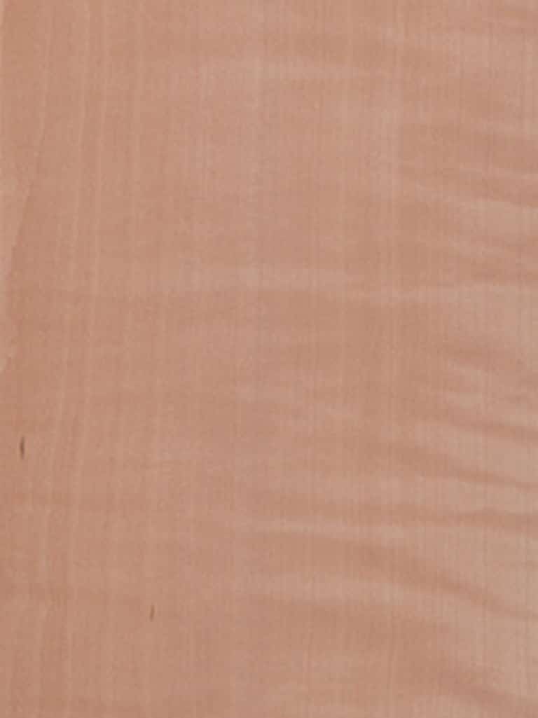 Pearwood Qtd Fig