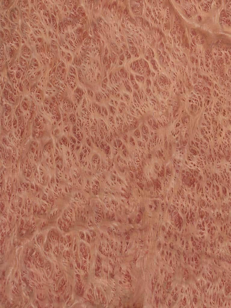 Redwood Burl