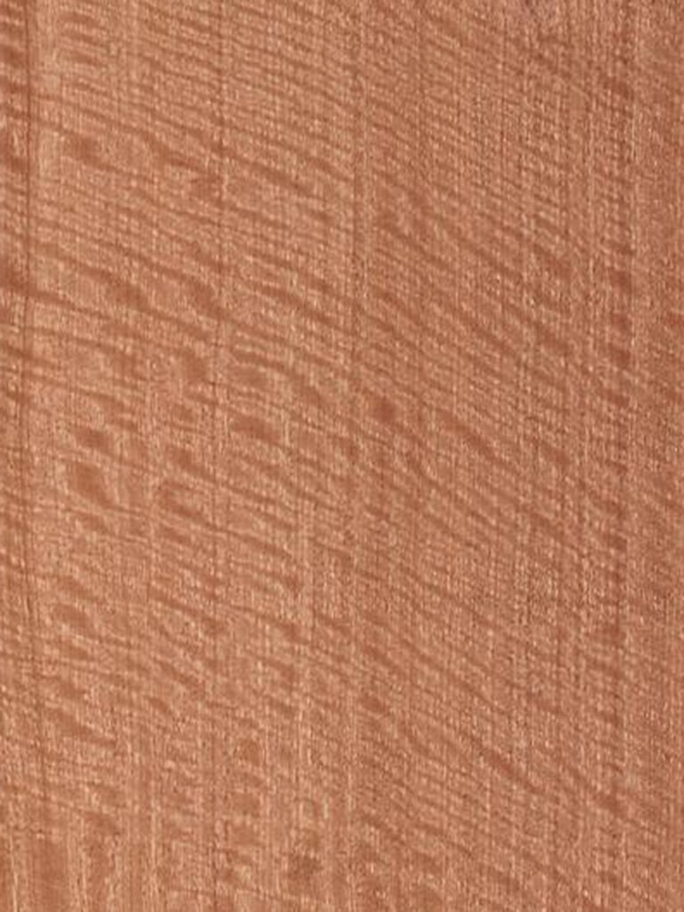 Sapele Qtd Fig