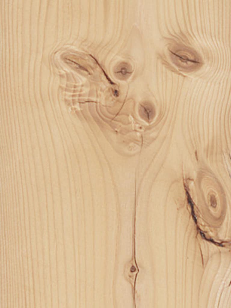 Spruce Knotty