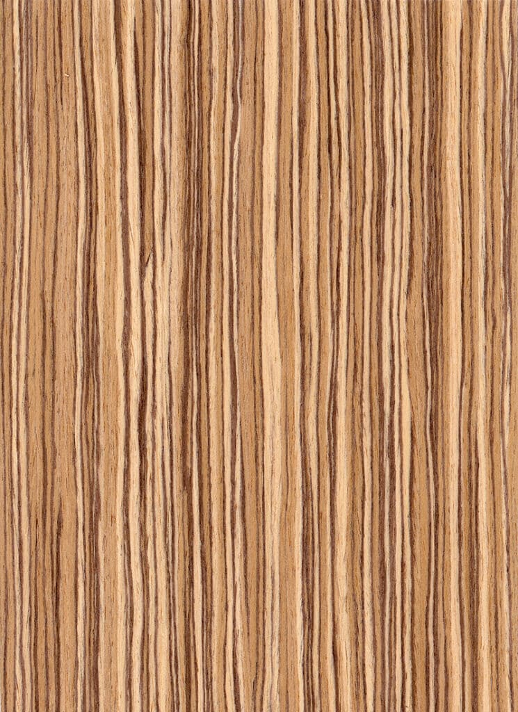 Zebrawood Qtd Recon 0322.015