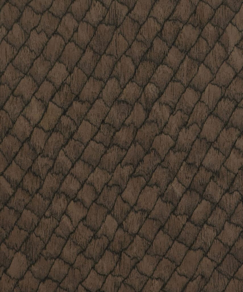 Walnut Tecton Designer Recon 8121.087 SPO