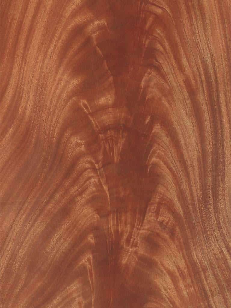 Veneer Chip